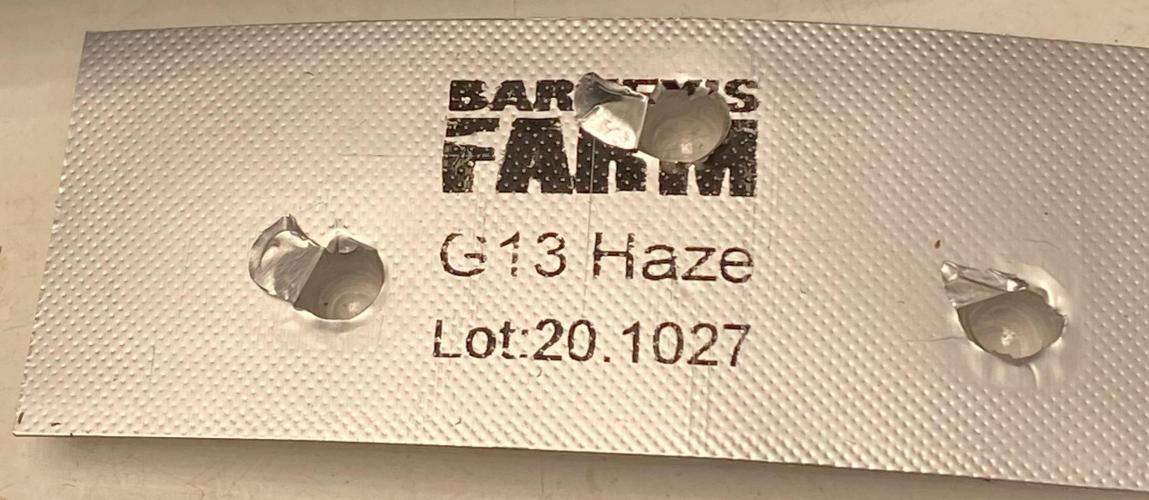 Barneys G13 Haze Fem. Week 0