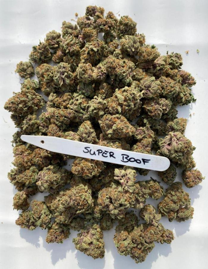 Barneys Super Boof. Week 12 - 68.2G total DRY weight