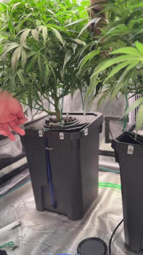 The  DeepSeek Files DWC