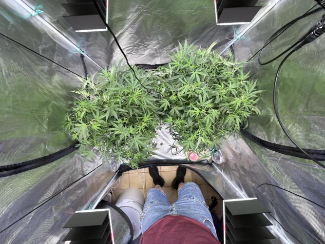 The  DeepSeek Files DWC. Week 6 - Also before catastrophe 