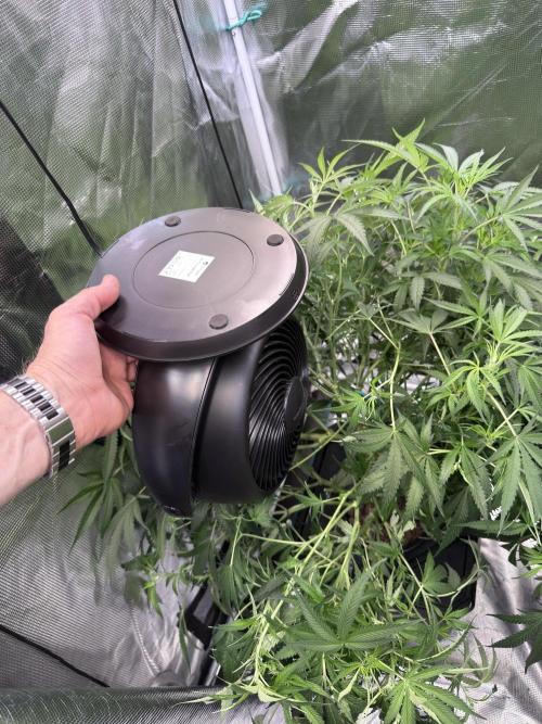 The  DeepSeek Files DWC. Week 6 - This is the culprit 