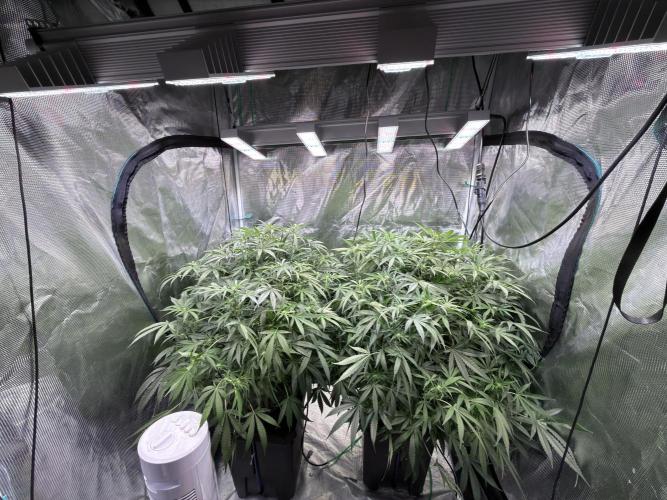 The  DeepSeek Files DWC. Week 7
