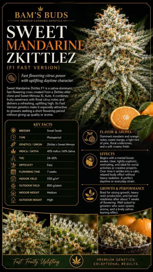 Sweet Mandarin Zkittles . Week 10