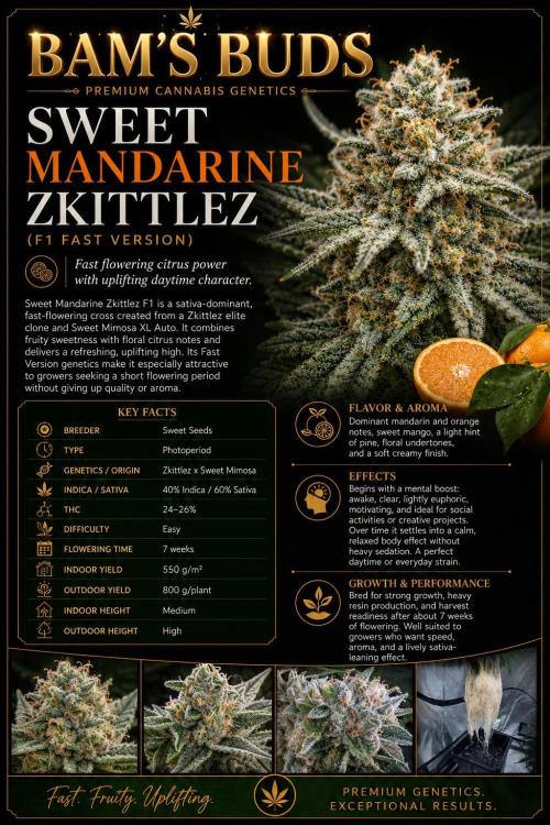 Sweet Mandarin Zkittles . Week 10