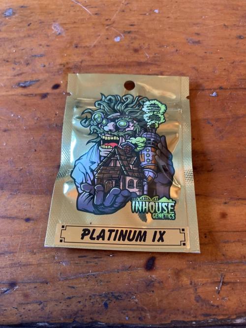 Platinum IX (In House Genetics). Week 0