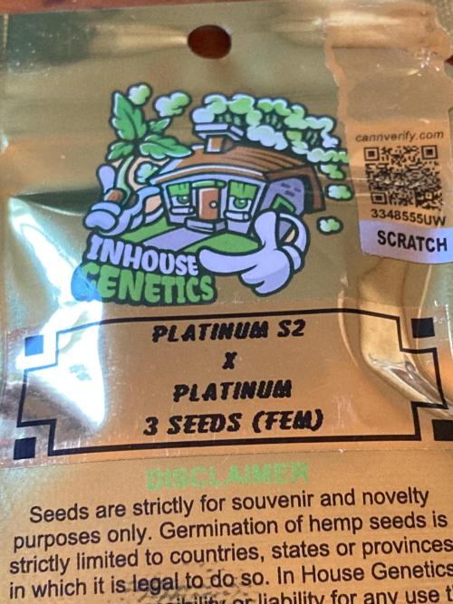 Platinum IX (In House Genetics). Week 0