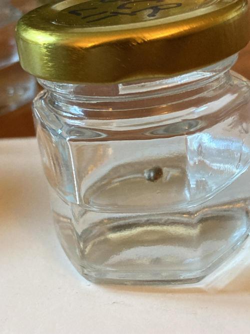 Gas Cream Runtz (LIT FARMS). Week 0