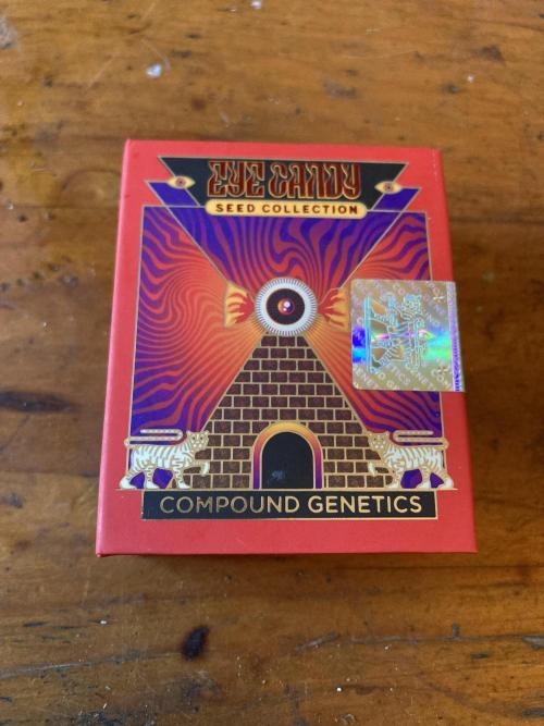 Chrome Dome (Compound Genetics). Week 0