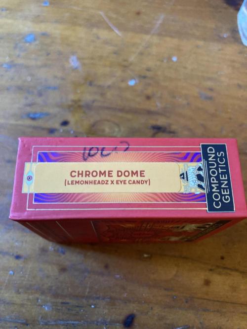 Chrome Dome (Compound Genetics). Week 0