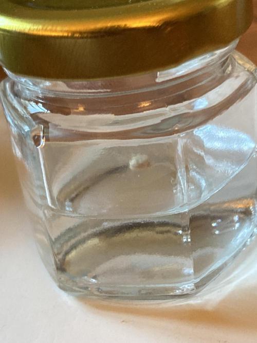 All Starz (LIT FARMS). Week 0