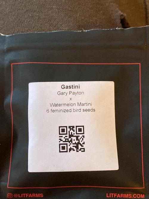 Gastini (LIT Farms). Week 0