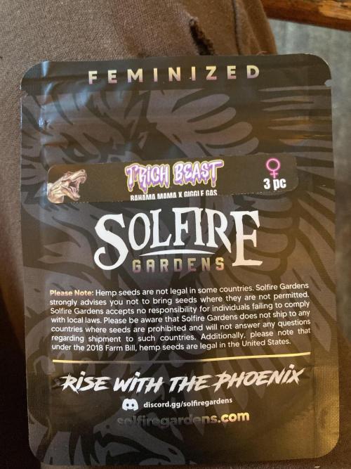 Trich Beast (Solfire Gardens). Week 0