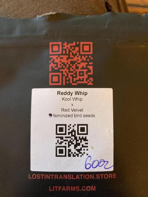 Reddy Whip (LIT Farms). Week 0