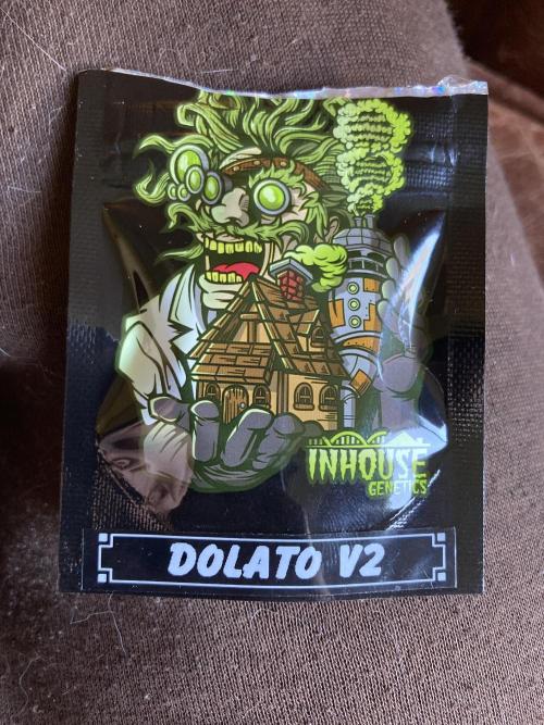 Do-lato V2 (In House Genetics). Week 0