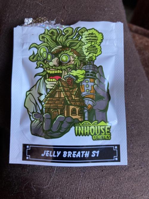 Jelly Breath S1. Week 0