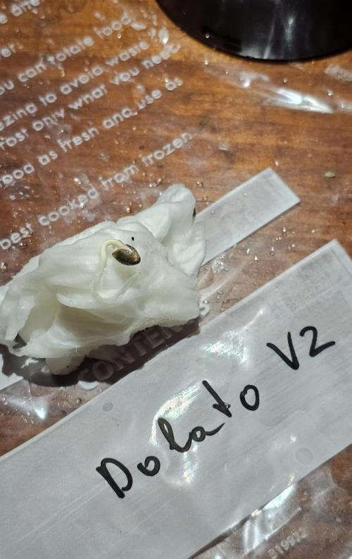 Do-lato V2 (In House Genetics). Week 0