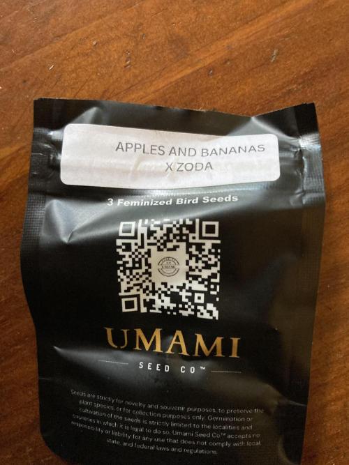Apples & Bananas x Zoda (Umami Seed Co). Week 0