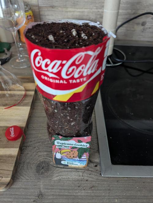 Tropicana Cookies Coca Cola 1L 420 Promo. Week 0