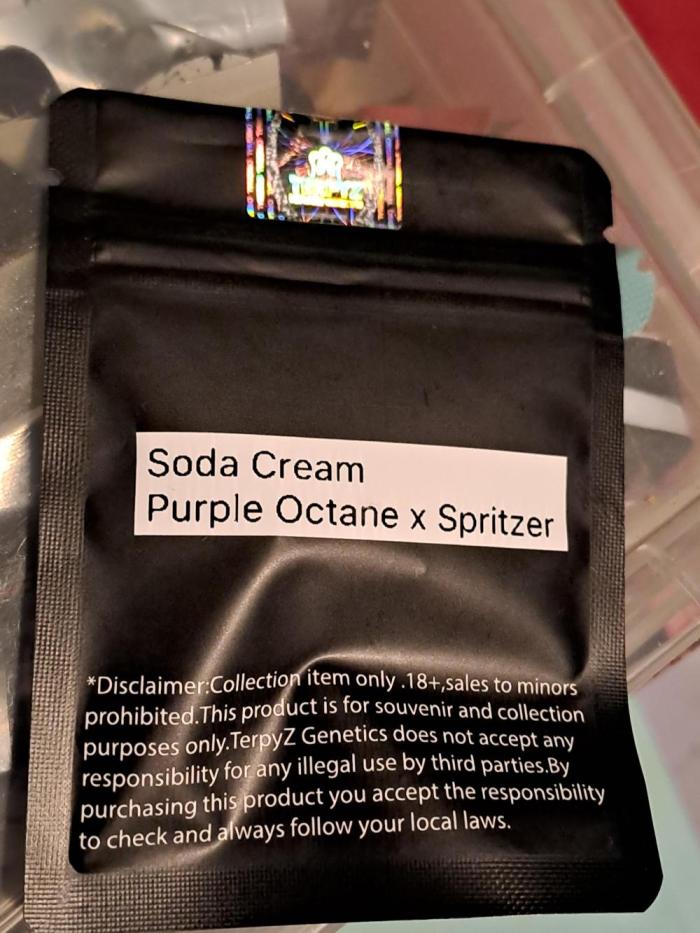 Soda Cream Terpyz. Week 0 - 10/02 