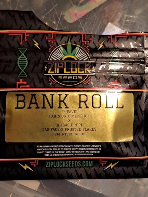Bank Roll : Pave X Gas Drop. Week 0