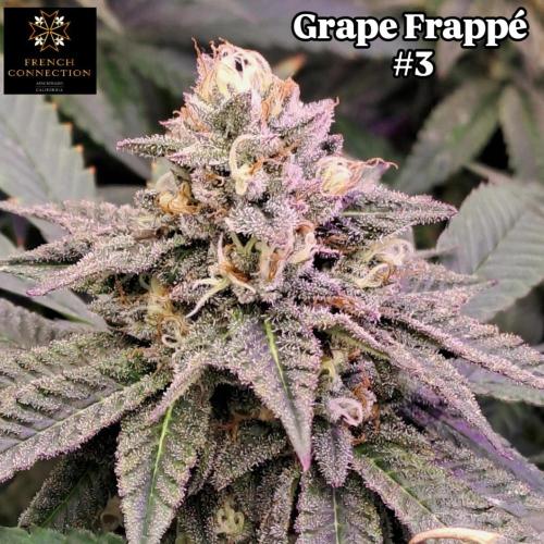Grape Frappé. Week 16
