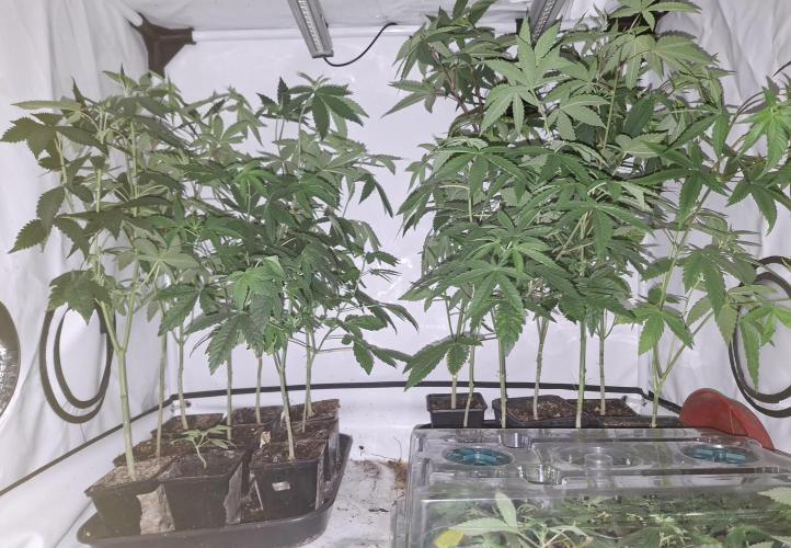 Cosmic Pop Rocks. Week 9