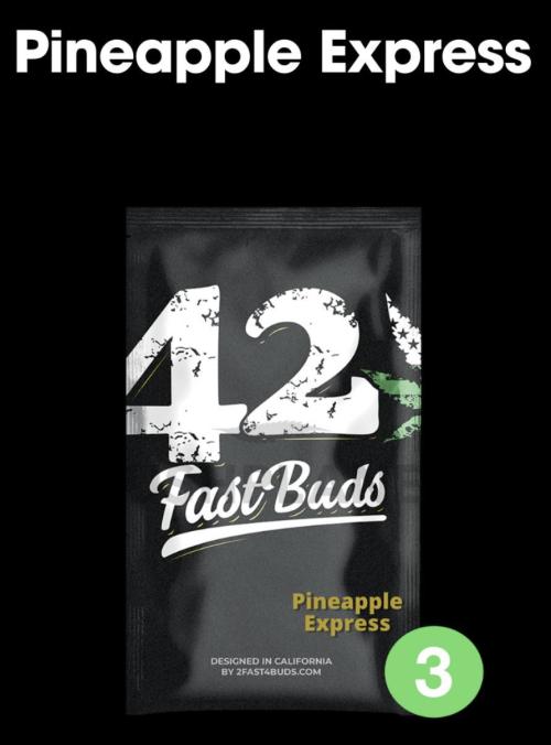 The Pineapple Milky Way F1 Express. Week 0 - PE