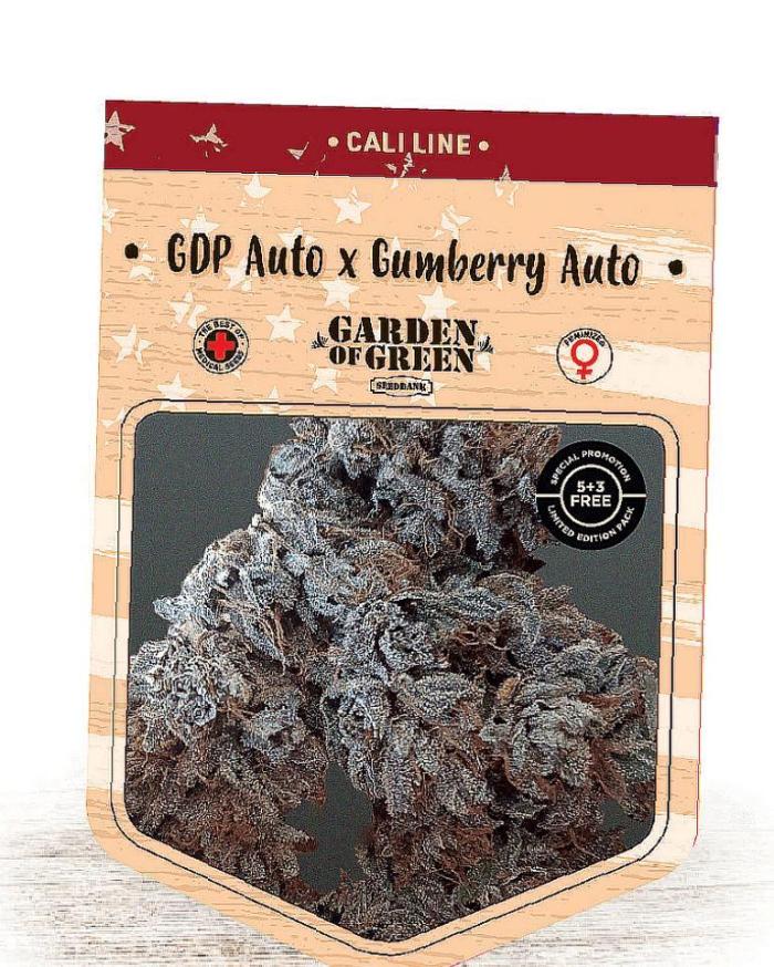 GDP Auto X Gumberry Auto-Garden of Green. Week 0