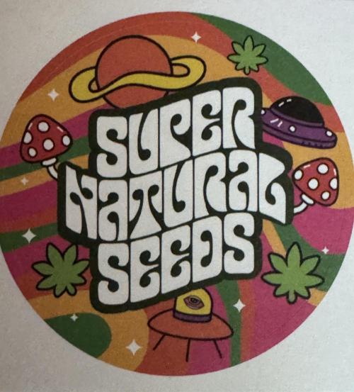 Purple Tangie Auto - Supernatural Seeds. Week 0