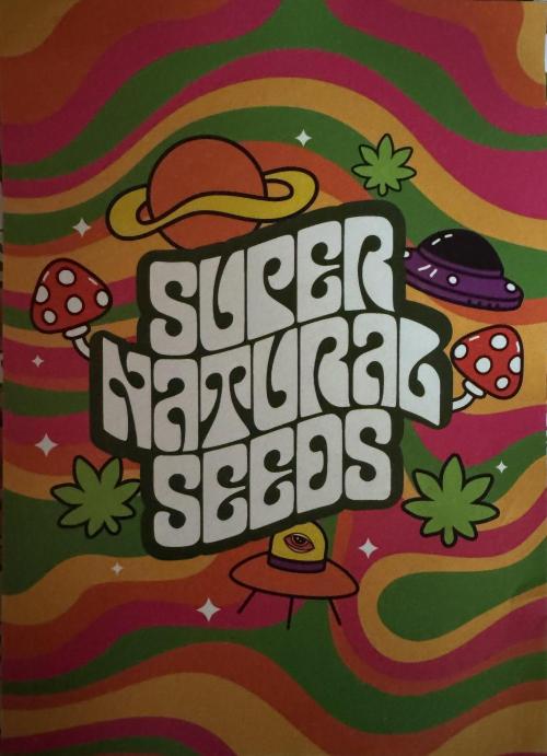 Purple Tangie Auto - Supernatural Seeds. Week 0