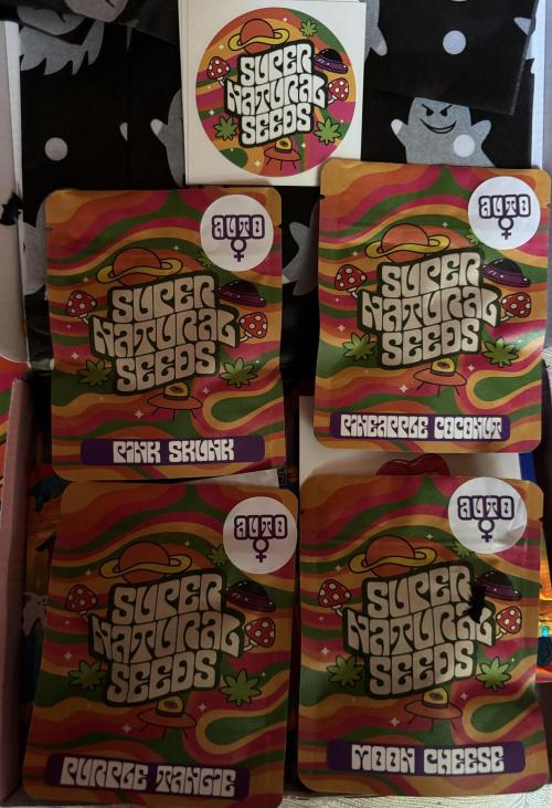 Purple Tangie Auto - Supernatural Seeds. Week 0