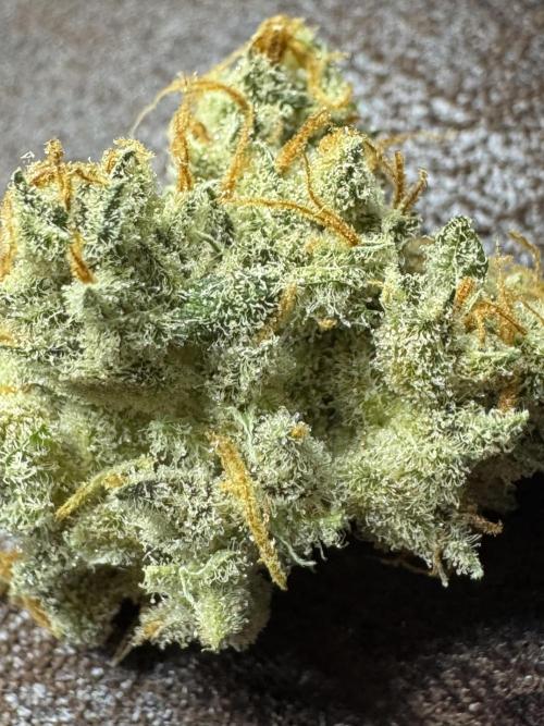 Auto Opium - Divine Seeds. Week 14