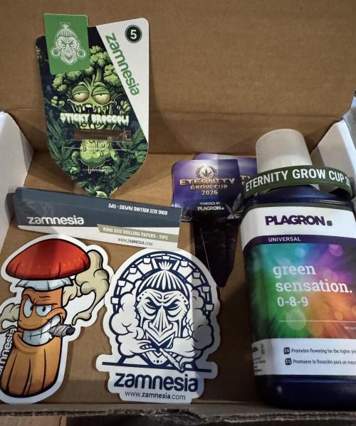 Sticky Broccoli Auto-Zamnesia. Week 0