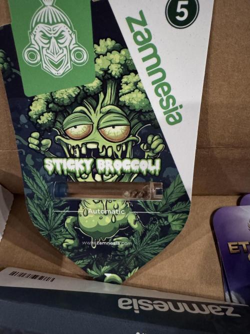 Sticky Broccoli Auto-Zamnesia. Week 0
