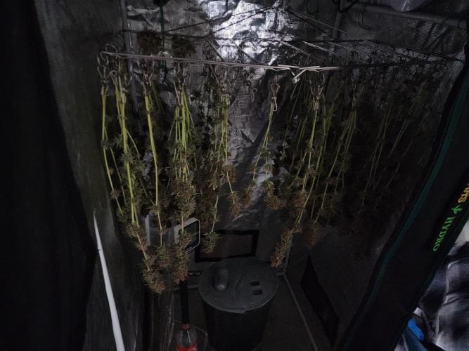 VPD Infinity Tent. Week 9