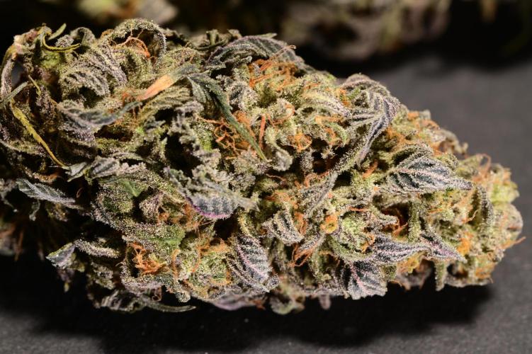 Zamnesia Runtz 8 seeds custom made room.. Week 19 - Liking the cure so far.