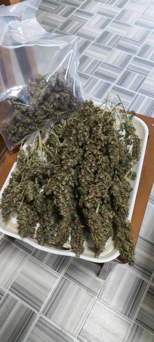 Winter round 2 🍉. Week 13