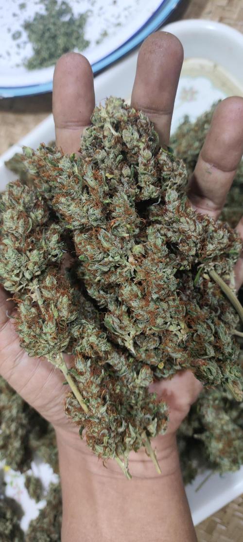 Winter round 2 🍉. Week 13