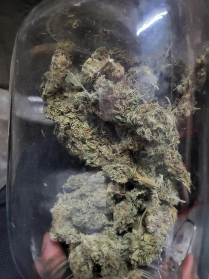 Sourdiesel and Blood moon gelato auto. Week 15