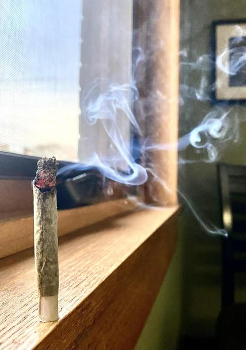 SUMMER STRAYS 2025. Week 30 - Nov 18, beautiful  and smooth smoke already. 
Cure for 2 more mths is target