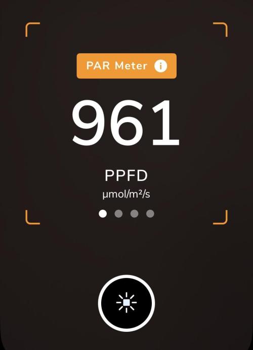 Three out of Five in a Four. Week 11 - 20th, PPFD reading tonight. 
Small move
Tomorrow gets us over 1000