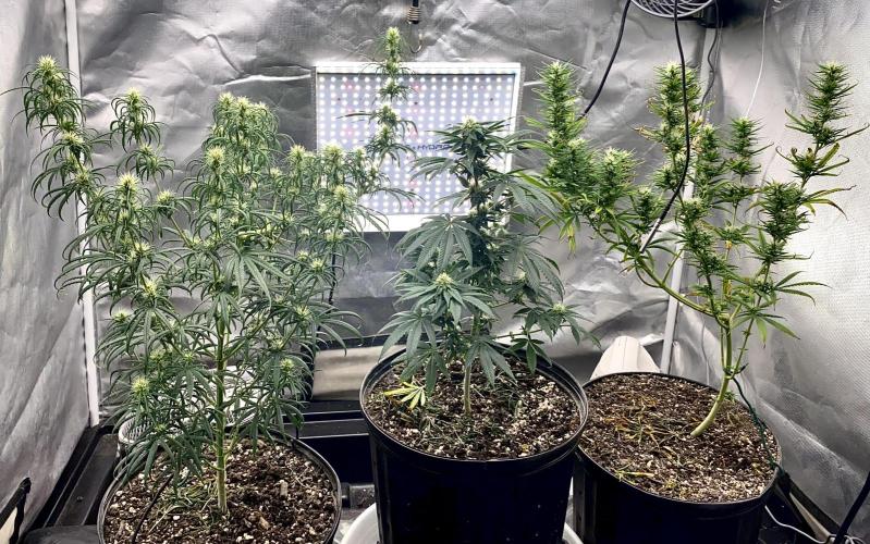 Three out of Five in a Four. Week 12 - 1st, team pic