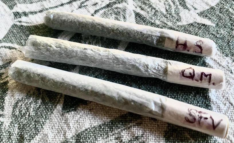 SUMMER STRAYS 2025. Week 29 - Dec 4, testers