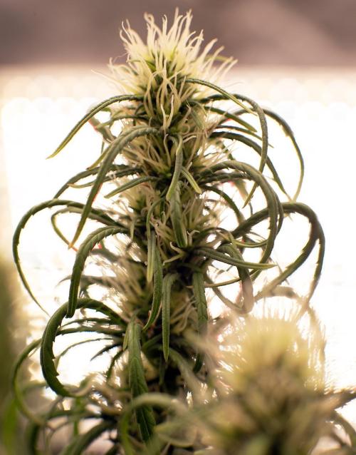 Three out of Five in a Four. Week 14 - 14th