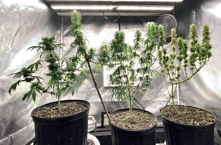 Three out of Five in a Four. Week 15 - 18th, team shot: stockton slap, pr x mg, saglana salchak 