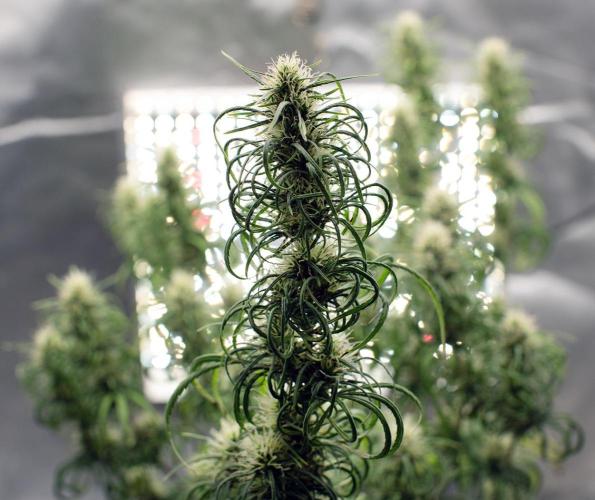 Three out of Five in a Four. Week 16 - 24th... PR x MG  
just getting around to this one
