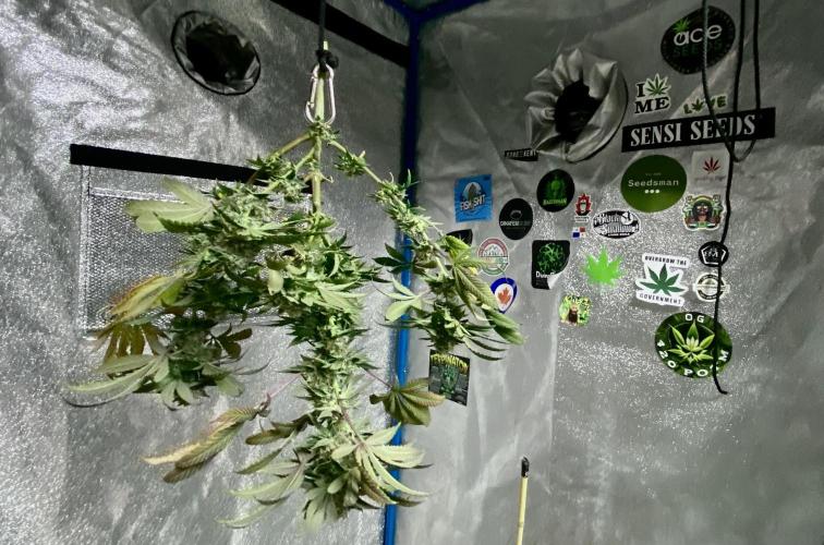 Three out of Five in a Four. Week 16 - 31st, here is how the Stockton Slap sits