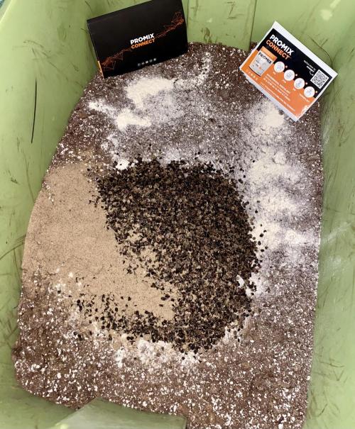 2026 Medley. Week 0 - Rice Hull husks, Sand and Soil Inoculants plus a little worm Poop is Cozy stuff