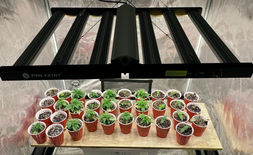 2026 Medley. Week 2 - 5th, FEMS n Surprises, fresh soil on the 7th; bigger homes.
#MARSHYDRO