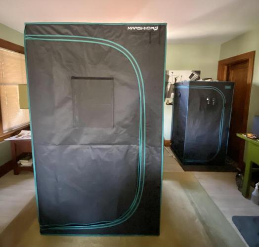 2026 Medley. Week 4 - 21st, tent-swap tonight; 32” x 5’ gets the boot for a 4’ x 80” 